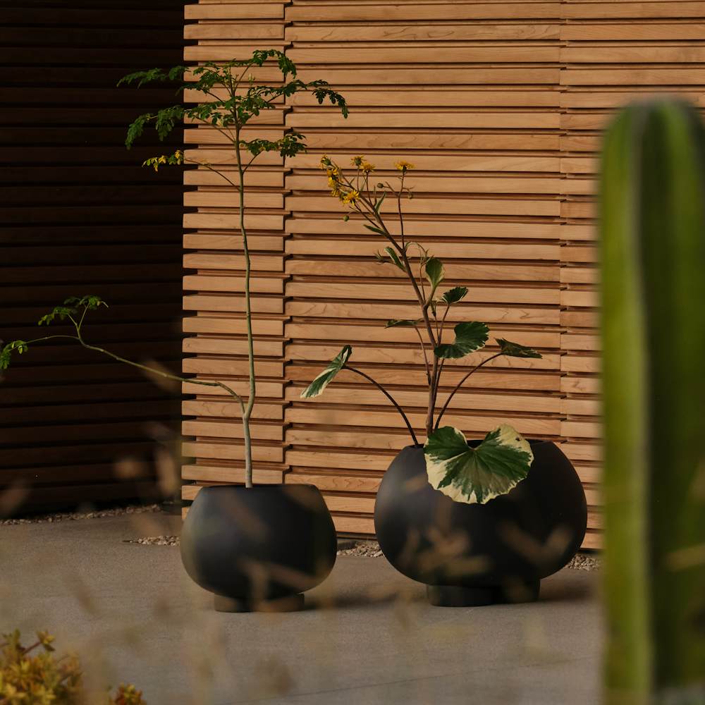 Decor